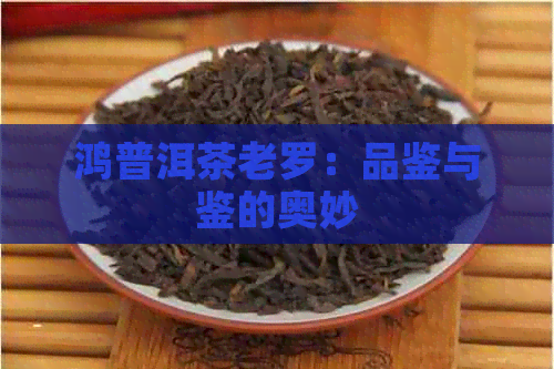 鸿普洱茶老罗：品鉴与鉴的奥妙