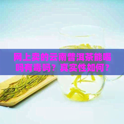 网上卖的云南普洱茶能喝吗有吗？真实性如何？