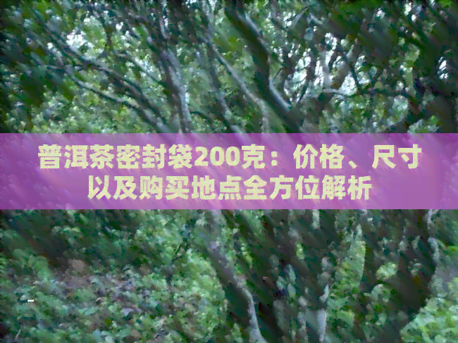 普洱茶密封袋200克：价格、尺寸以及购买地点全方位解析