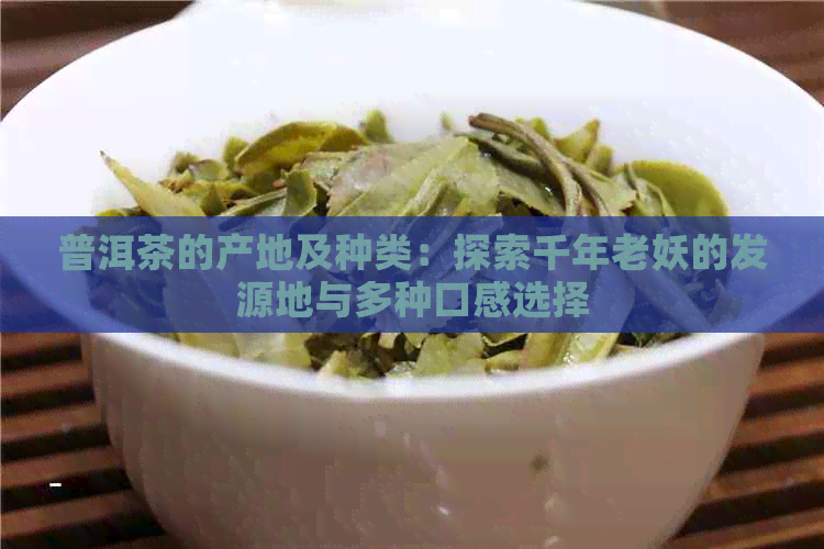 普洱茶的产地及种类：探索千年老妖的发源地与多种口感选择