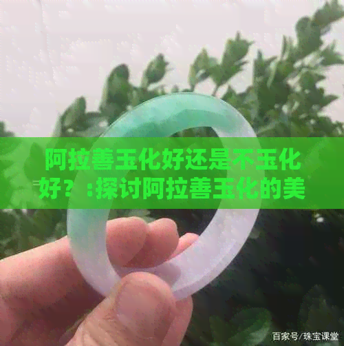 阿拉善玉化好还是不玉化好？:探讨阿拉善玉化的美观与价值