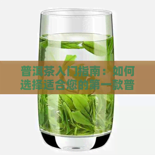 普洱茶入门指南：如何选择适合您的之一款普洱茶