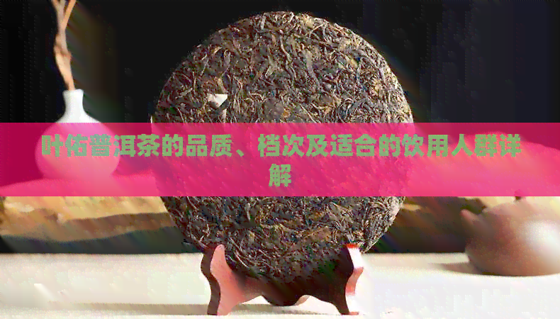 叶佑普洱茶的品质、档次及适合的饮用人群详解