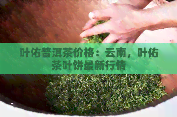 叶佑普洱茶价格：云南，叶佑茶叶饼最新行情