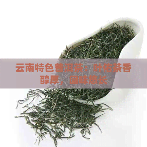 云南特色普洱茶：叶佑茶香醇厚，回味悠长