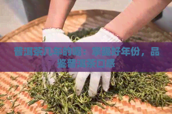 普洱茶几年的喝：掌握好年份，品鉴普洱茶口感