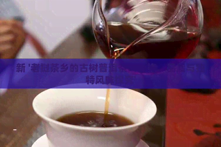 新 '老挝茶乡的古树普洱茶：价格、品质与独特风味探究'