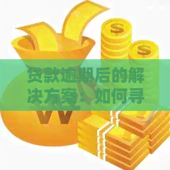 贷款逾期后的解决方案：如何寻找单位以避免更严重的后果