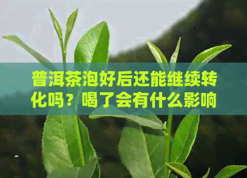 普洱茶泡好后还能继续转化吗？喝了会有什么影响？如何正确保存普洱茶？