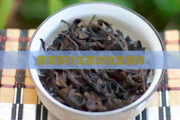 普洱茶叶生茶场位置查询