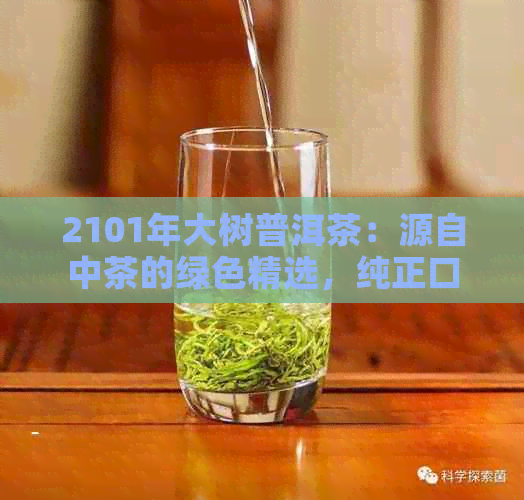 2101年大树普洱茶：源自中茶的绿色精选，纯正口感与健体验