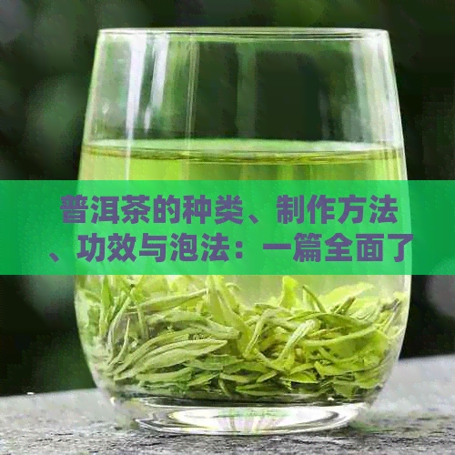 普洱茶的种类、制作方法、功效与泡法：一篇全面了解普洱茶的指南