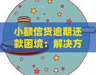 小额信贷逾期还款困境：解决方案、影响与应对策略