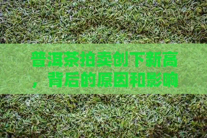 普洱茶拍卖创下新高，背后的原因和影响是什么？