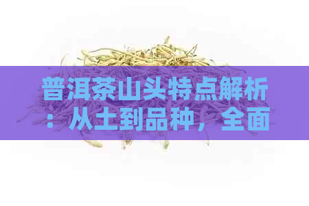 普洱茶山头特点解析：从土到品种，全面了解普洱茶产区的特色与区别