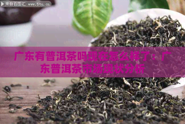 广东有普洱茶吗现在怎么样了：广东普洱茶市场现状分析