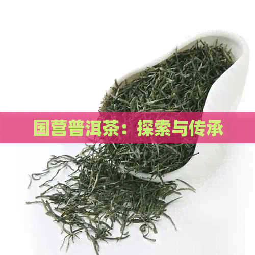 国营普洱茶：探索与传承