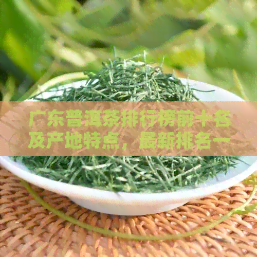 广东普洱茶排行榜前十名及产地特点，最新排名一览。