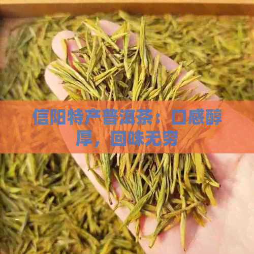 信阳特产普洱茶：口感醇厚，回味无穷