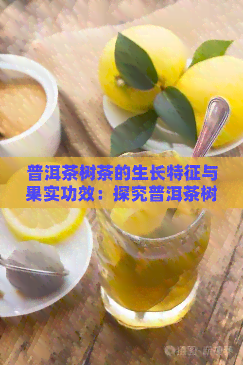 普洱茶树茶的生长特征与果实功效：探究普洱茶树茶果与茶叶特性