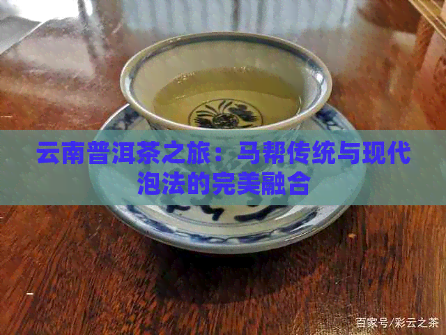 云南普洱茶之旅：马帮传统与现代泡法的完美融合