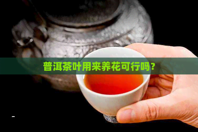 普洱茶叶用来养花可行吗？