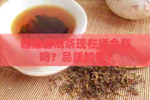 临沧普洱茶现在适合存吗？品质如何？