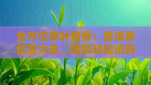 全方位茶叶推荐：普洱茶优质大全，助您轻松选购！