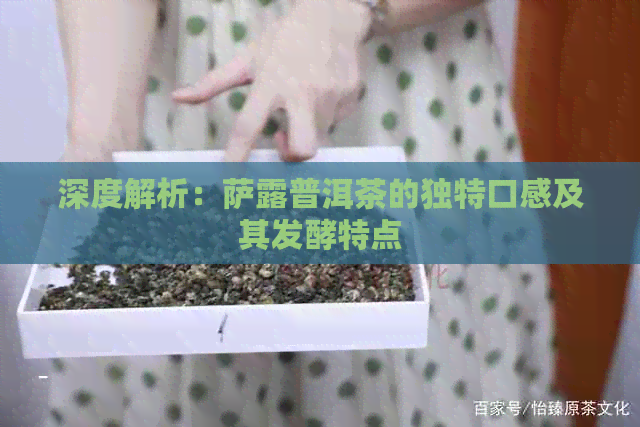 深度解析：萨露普洱茶的独特口感及其发酵特点