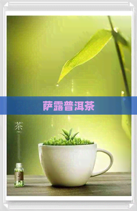 萨露普洱茶