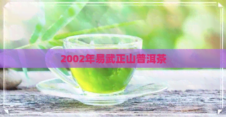 2002年易武正山普洱茶