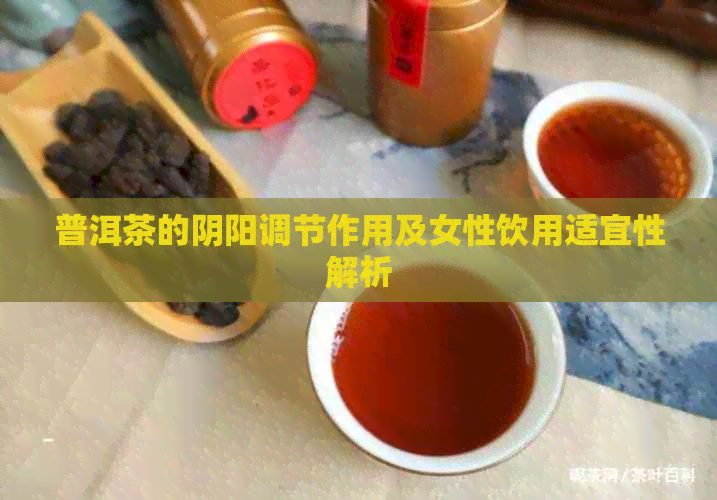 普洱茶的阴阳调节作用及女性饮用适宜性解析