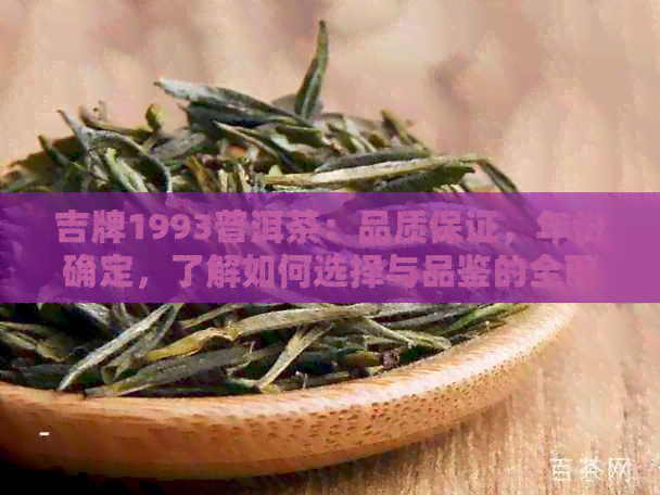 吉牌1993普洱茶：品质保证，年份确定，了解如何选择与品鉴的全面指南