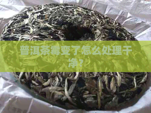 普洱茶霉变了怎么处理干净？