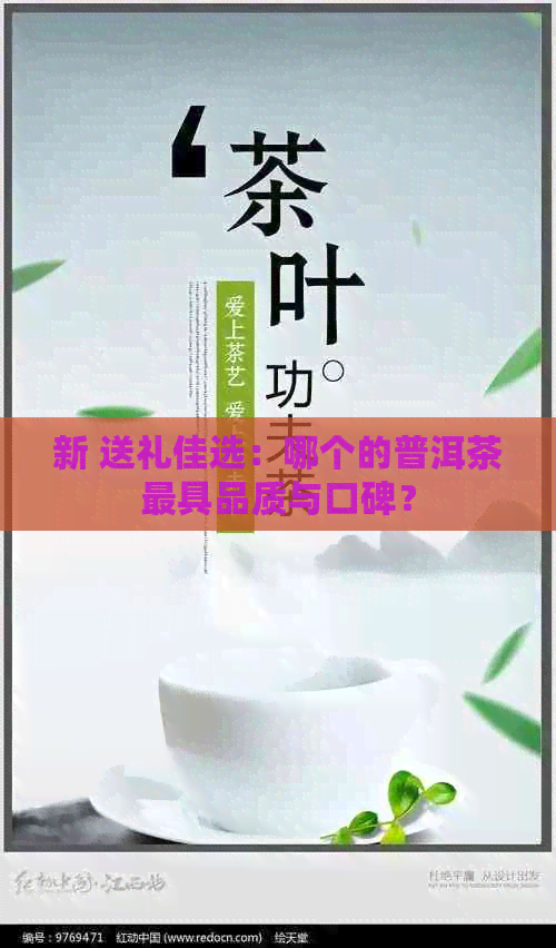 新 送礼佳选：哪个的普洱茶更具品质与口碑？