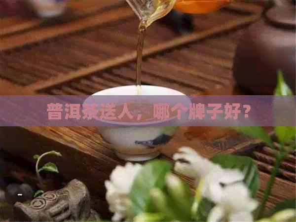 普洱茶送人，哪个牌子好？