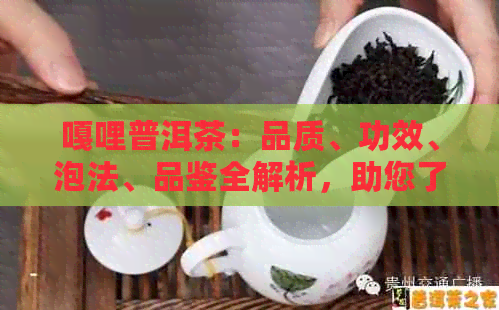 嘎哩普洱茶：品质、功效、泡法、品鉴全解析，助您了解和享受这款云南名茶