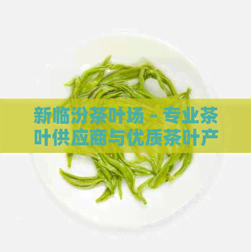 新临汾茶叶场 - 专业茶叶供应商与优质茶叶产品的汇集地