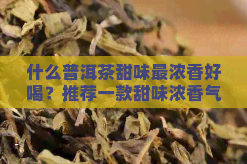 什么普洱茶甜味最浓香好喝？推荐一款甜味浓香气宜人的普洱茶。