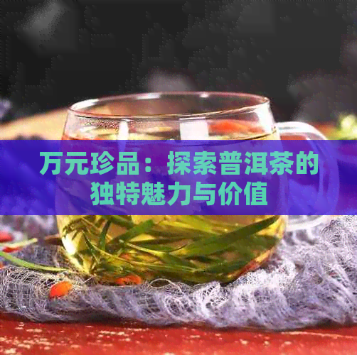 万元珍品：探索普洱茶的独特魅力与价值