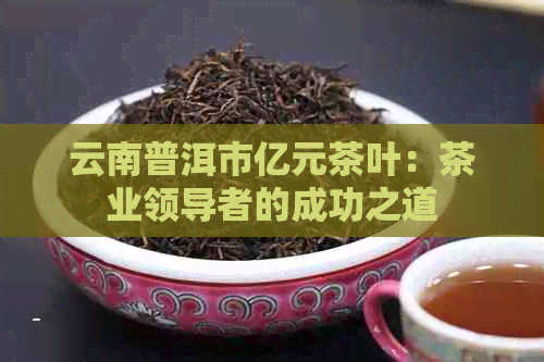 云南普洱市亿元茶叶：茶业领导者的成功之道