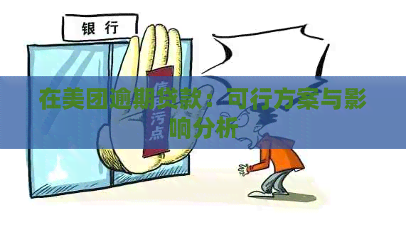 在美团逾期贷款：可行方案与影响分析