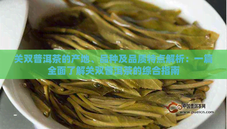 关双普洱茶的产地、品种及品质特点解析：一篇全面了解关双普洱茶的综合指南