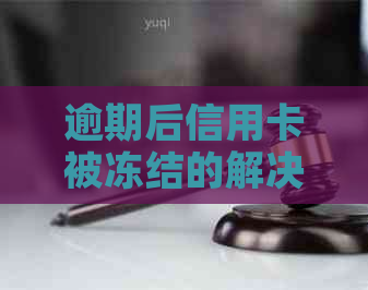 逾期后信用卡被冻结的解决策略：信用恢复全指南