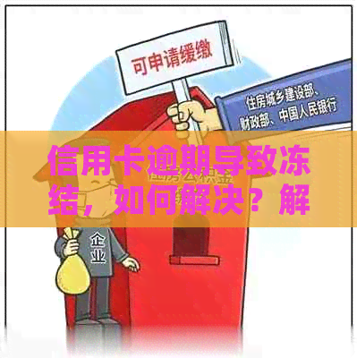 信用卡逾期导致冻结，如何解决？解冻的可能性和具体步骤是什么？