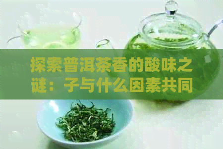 探索普洱茶香的酸味之谜：子与什么因素共同影响？