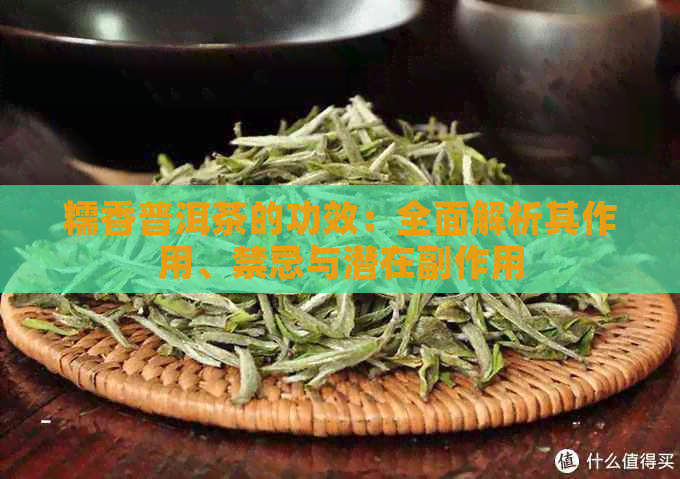 糯香普洱茶的功效：全面解析其作用、禁忌与潜在副作用