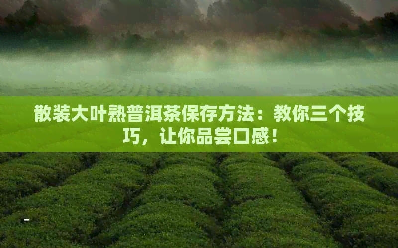 散装大叶熟普洱茶保存方法：教你三个技巧，让你品尝口感！