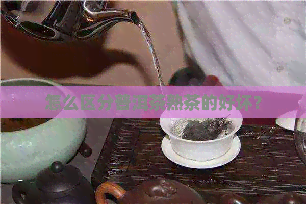 怎么区分普洱茶熟茶的好坏？