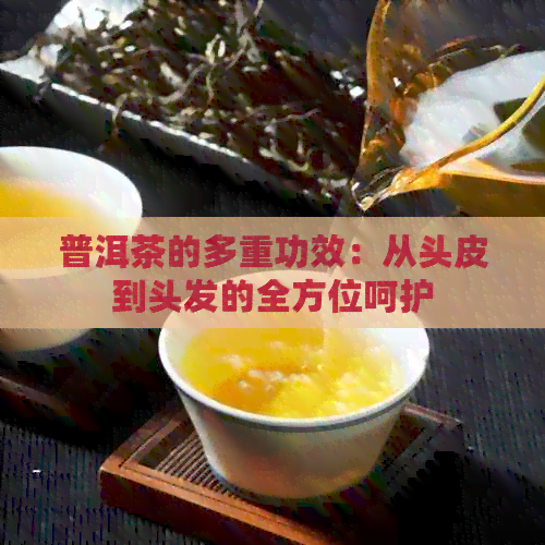 普洱茶的多重功效：从头皮到头发的全方位呵护